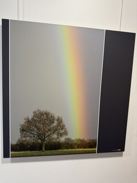 Eine Fotografie eines Baumes über den ein Regenbogen zu sehen ist.