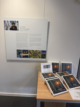 Das Bild zeigt die Infotafel zu dem Fotografen Willi Rolfes. Daneben steht ein Tisch mit weiterem Infomaterial.
